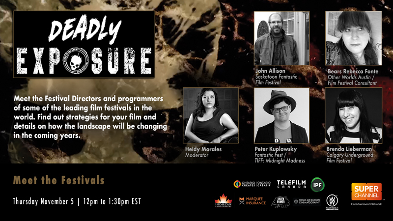 Meet the Festivals panel