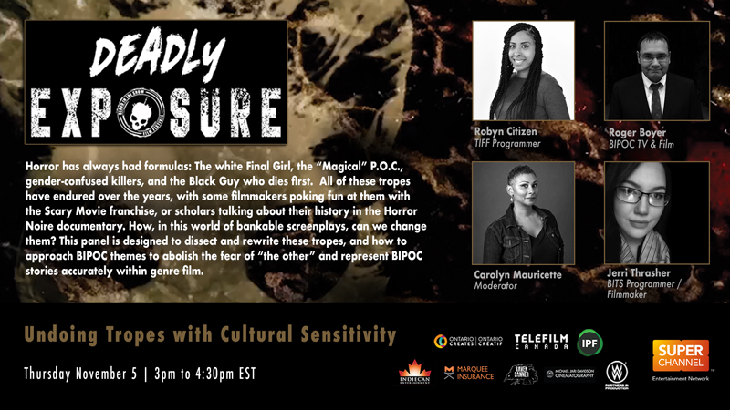 Undoing Tropes with Cultural Sensitivity panel