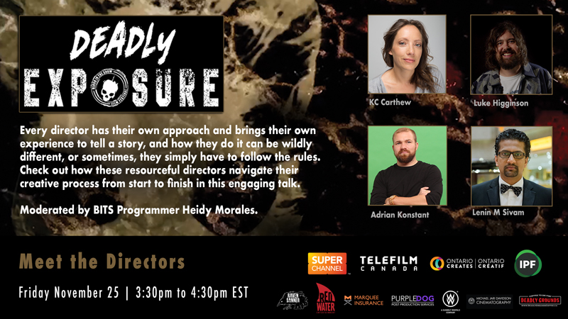 Meet the Directors panel